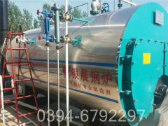 15吨蒸汽燃煤乐玩线上平台（集团）官方网站