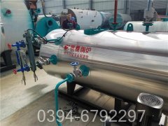 20吨燃煤乐玩线上平台（集团）官方网站价格