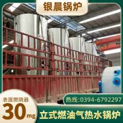 小型立式燃油蒸汽乐玩线上平台（集团）官方网站