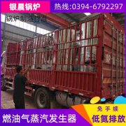 12吨低氮乐玩线上平台（集团）官方网站
