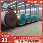 12吨燃油热水乐玩线上平台（集团）官方网站