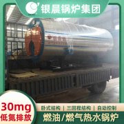CWNS0.49-85/60-QY乐玩线上平台（集团）官方网站