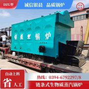 CWNS7-85/60-QY热水乐玩线上平台（集团）官方网站