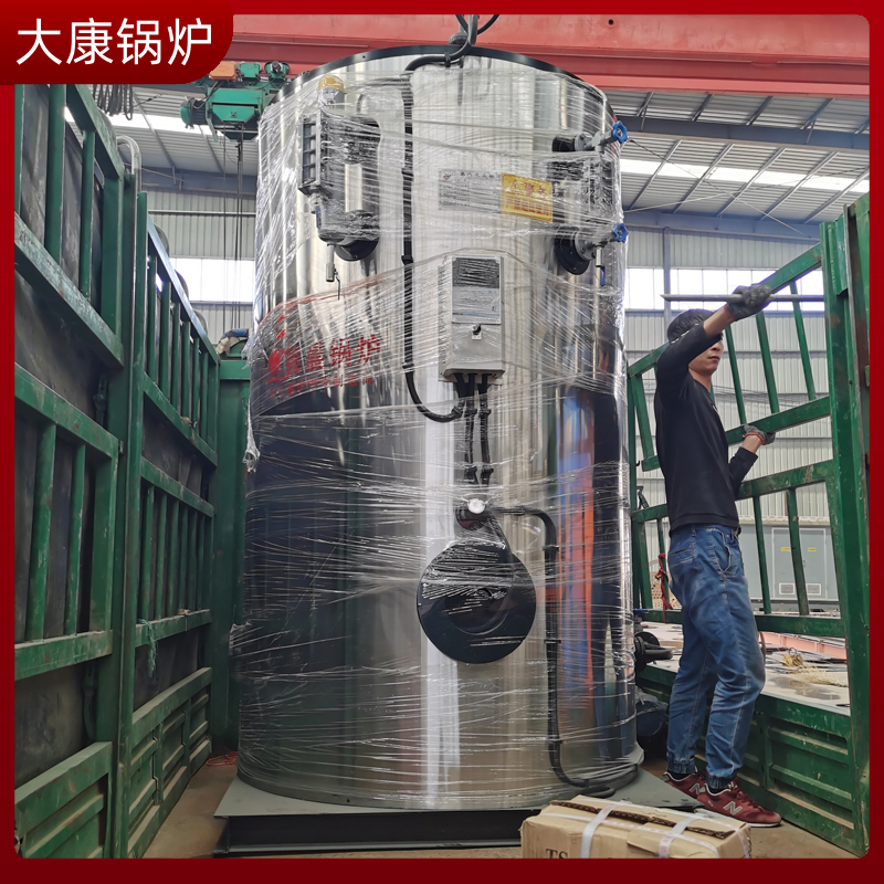 10蒸吨生物质蒸汽乐玩线上平台（集团）官方网站