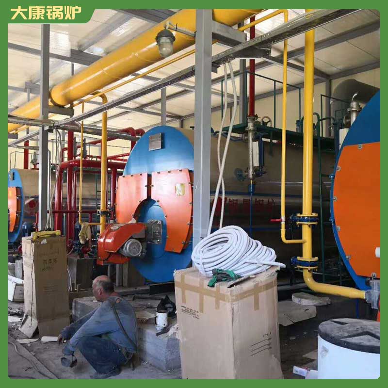 4吨生物质生物质乐玩线上平台（集团）官方网站