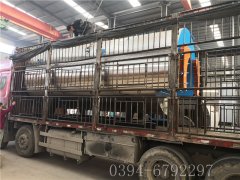 6吨燃气蒸汽乐玩线上平台（集团）官方网站